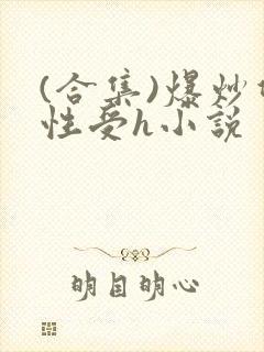 (合集)爆炒双性受h小说