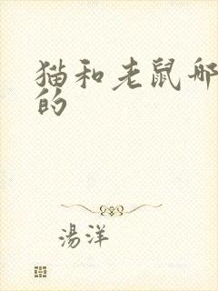 猫和老鼠哪一年的