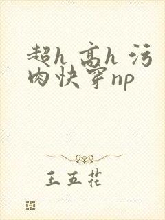 超h 高h 污肉快穿np