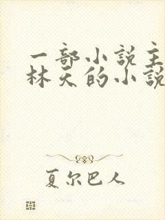 一部小说主角叫林天的小说