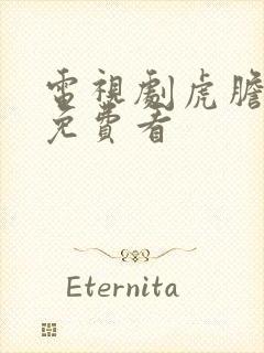 电视剧虎胆雄心免费看