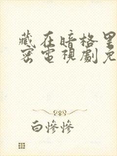 藏在暗格里的秘密电视剧免费观看