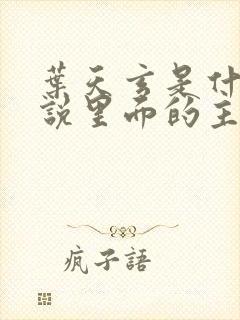 叶天玄是什么小说里面的主角