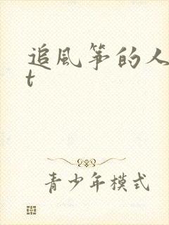 追风筝的人txt封面