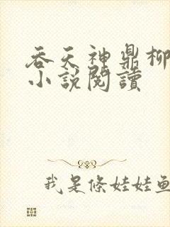 吞天神鼎柳无邪小说阅读封面