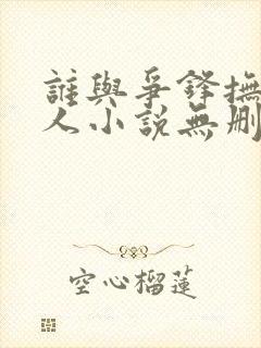 谁与争锋抚琴的人小说无删减版