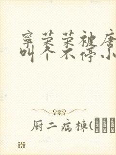 宁荣荣被唐三桶叫个不停小说