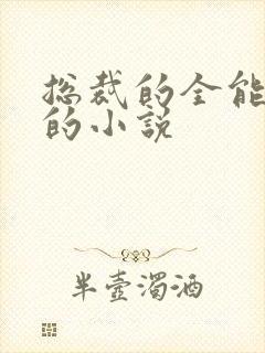 总裁的全能秘书的小说