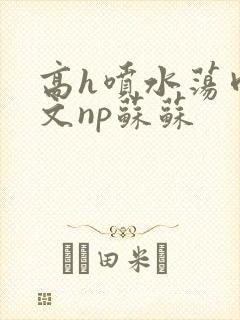 高h喷水荡肉爽文np苏苏