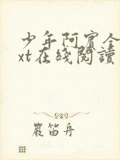 少年阿宾全文txt在线阅读