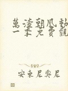 万渣朝凰动漫第一季免费观看