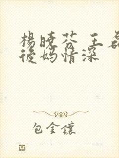 杨晓芬 王磊 后妈情深