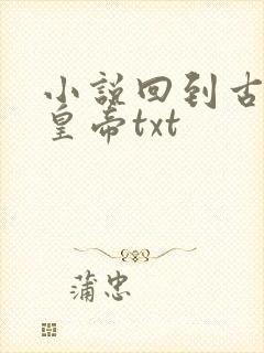 小说回到古代当皇帝txt封面