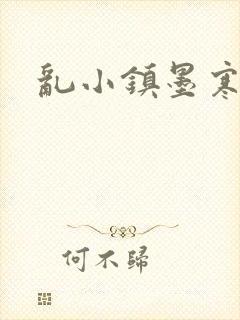 乱小镇墨寒砚封面