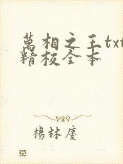 万相之王txt精校全本封面