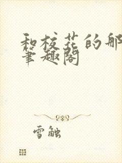 和校花的那一夜笔趣阁