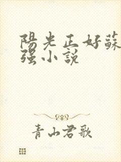 阳光正好苏玥马强小说