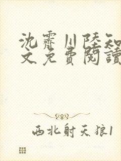 沈霁川陆知意全文免费阅读