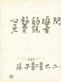 心动的瞬间全集免费观看