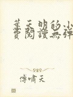 叶天明的小说免费阅读无弹窗