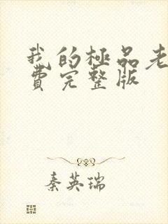 我的极品老婆免费完整版