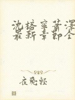 沈榕宁萧泽小说最新章节全文阅读封面