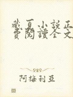 藏夏小说正版免费阅读全文无弹窗封面