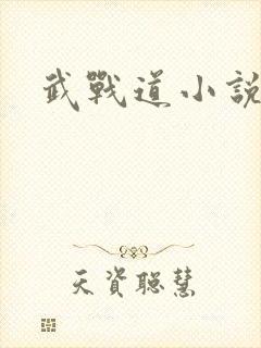 武战道小说封面