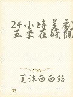 24小时美剧第五季在线观看全集免费高清