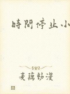 时间停止小说封面