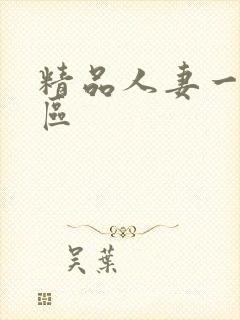 精品人妻一区二区