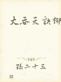 大吞天诀柳无邪