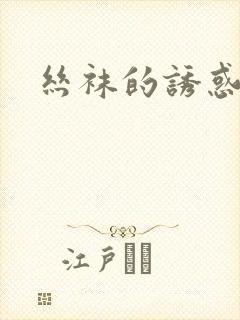 丝袜的诱惑小说封面