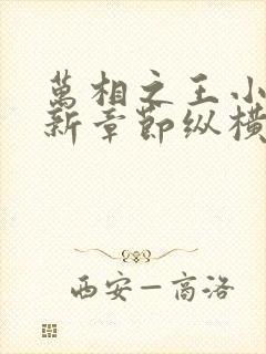 万相之王小说最新章节纵横全文阅读封面