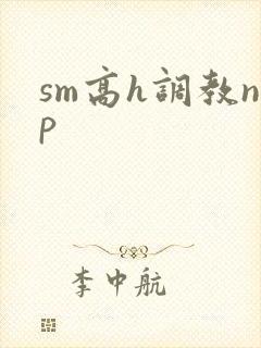 sm高h调教np