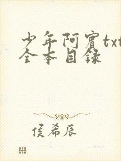 少年阿宾txt全本目录封面