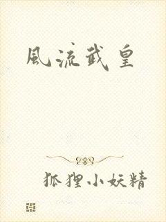 风流武皇
