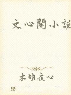 文心阁小说