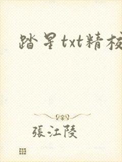 踏星txt精校