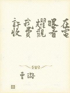 许我耀眼在线免收费观看电视剧