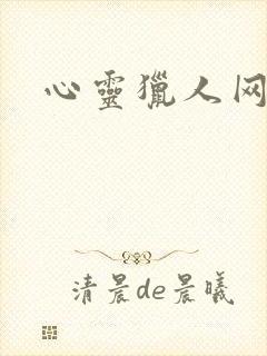 心灵猎人网盘封面