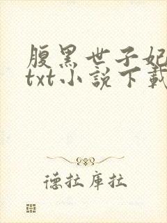 腹黑世子妃日常txt小说下载