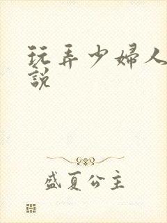 玩弄少妇人妻小说