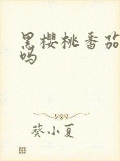 黑樱桃番茄好吃吗