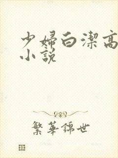 少妇白洁高义的小说