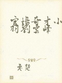 官场奇才小说陆羽刘云峰