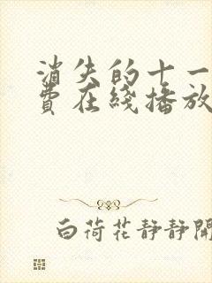 消失的十一层免费在线播放封面