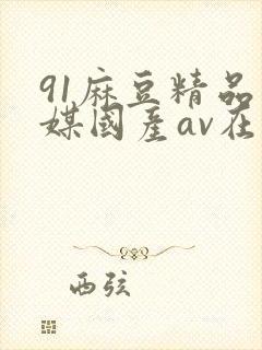 91麻豆精品传媒国产av在线观看