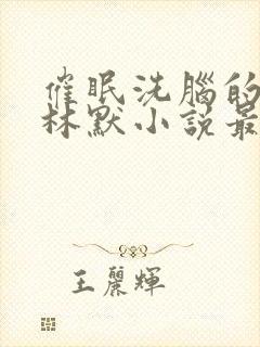 催眠洗脑的姐姐林默小说最新章节更