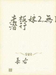 老板娘2,无间潜行